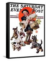 "Barking Up the Wrong Turkey," Saturday Evening Post Cover, November 27, 1926-Joseph Christian Leyendecker-Framed Stretched Canvas