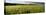 Barley Field, Wales, United Kingdom-null-Stretched Canvas