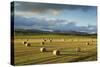 Barley Straw Bales in Field after Harvest, Inverness-Shire, Scotland, UK, October-Mark Hamblin-Stretched Canvas