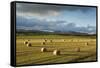 Barley Straw Bales in Field after Harvest, Inverness-Shire, Scotland, UK, October-Mark Hamblin-Framed Stretched Canvas