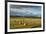 Barley Straw Bales in Field after Harvest, Inverness-Shire, Scotland, UK, October-Mark Hamblin-Framed Photographic Print