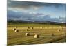 Barley Straw Bales in Field after Harvest, Inverness-Shire, Scotland, UK, October-Mark Hamblin-Mounted Photographic Print