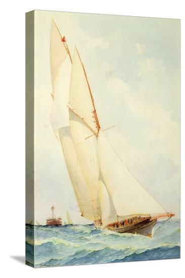 Stretched Canvas Print, , large