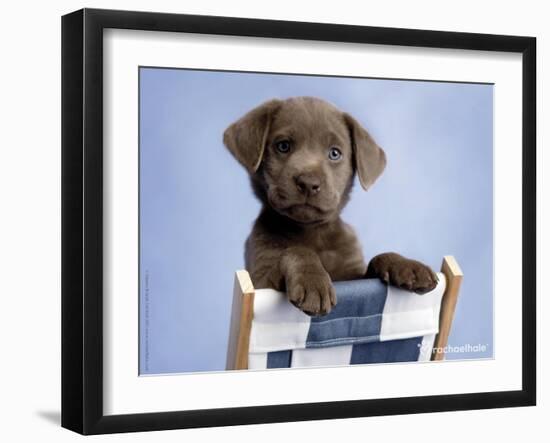 Barlow-Rachael Hale-Framed Premium Photographic Print