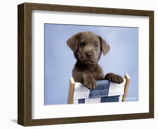 Barlow-Rachael Hale-Framed Photographic Print