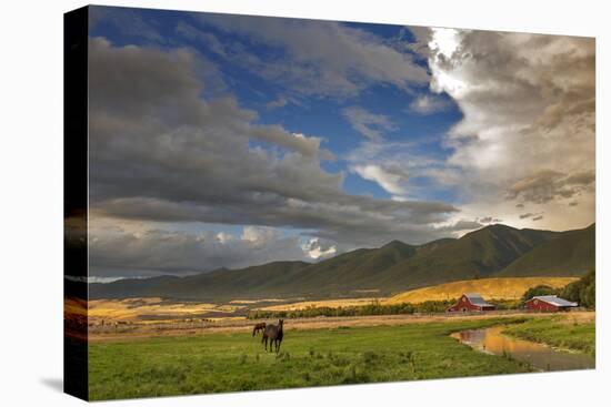 Barn Along Indian Creek and the Whitefish Range, Eureka, Montana-Chuck Haney-Stretched Canvas