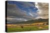 Barn Along Indian Creek and the Whitefish Range, Eureka, Montana-Chuck Haney-Stretched Canvas