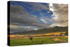 Barn Along Indian Creek and the Whitefish Range, Eureka, Montana-Chuck Haney-Stretched Canvas