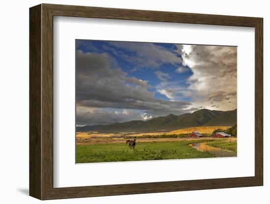 Barn Along Indian Creek and the Whitefish Range, Eureka, Montana-Chuck Haney-Framed Photographic Print