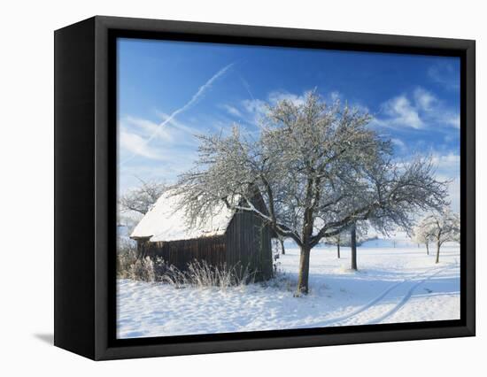 Barn and Apple Trees in Winter, Weigheim, Baden-Wurttemberg, Germany, Europe-Jochen Schlenker-Framed Stretched Canvas