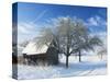 Barn and Apple Trees in Winter, Weigheim, Baden-Wurttemberg, Germany, Europe-Jochen Schlenker-Stretched Canvas