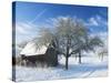 Barn and Apple Trees in Winter, Weigheim, Baden-Wurttemberg, Germany, Europe-Jochen Schlenker-Stretched Canvas