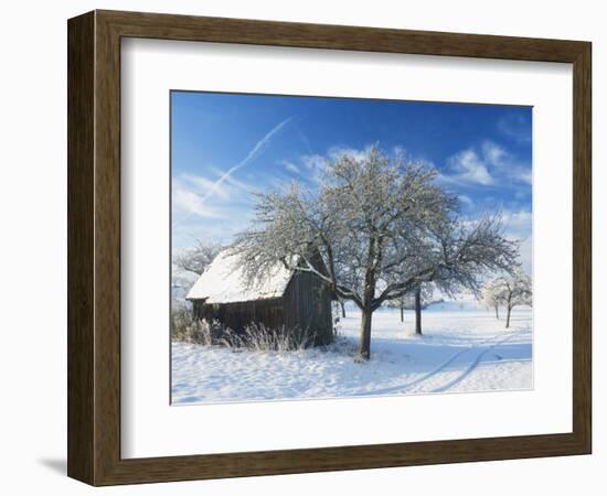 Barn and Apple Trees in Winter, Weigheim, Baden-Wurttemberg, Germany, Europe-Jochen Schlenker-Framed Photographic Print