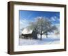 Barn and Apple Trees in Winter, Weigheim, Baden-Wurttemberg, Germany, Europe-Jochen Schlenker-Framed Photographic Print