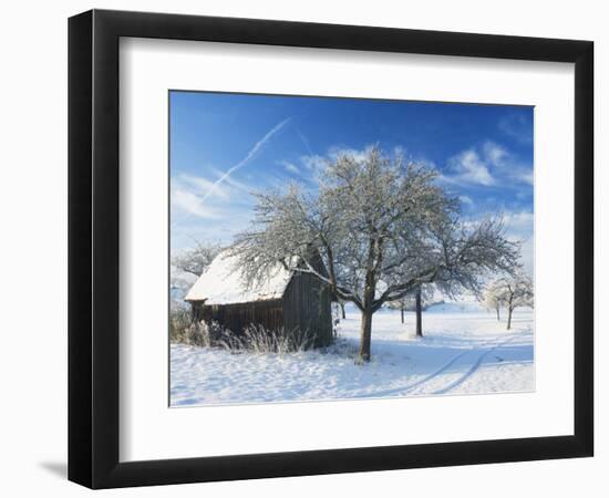 Barn and Apple Trees in Winter, Weigheim, Baden-Wurttemberg, Germany, Europe-Jochen Schlenker-Framed Photographic Print