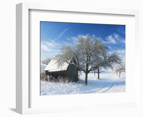 Barn and Apple Trees in Winter, Weigheim, Baden-Wurttemberg, Germany, Europe-Jochen Schlenker-Framed Photographic Print