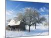Barn and Apple Trees in Winter, Weigheim, Baden-Wurttemberg, Germany, Europe-Jochen Schlenker-Mounted Photographic Print