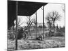 Barn and Carts-null-Mounted Photographic Print