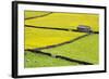 Barn and Dry Stone Walls in Buttercup Meadows at Gunnerside-Mark Sunderland-Framed Photographic Print