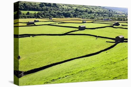 Barn and Dry Stone Walls in Meadows at Gunnerside-Mark Sunderland-Stretched Canvas