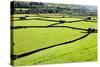 Barn and Dry Stone Walls in Meadows at Gunnerside-Mark Sunderland-Stretched Canvas