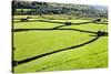 Barn and Dry Stone Walls in Meadows at Gunnerside-Mark Sunderland-Stretched Canvas