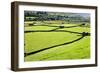 Barn and Dry Stone Walls in Meadows at Gunnerside-Mark Sunderland-Framed Photographic Print