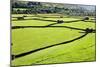 Barn and Dry Stone Walls in Meadows at Gunnerside-Mark Sunderland-Mounted Photographic Print