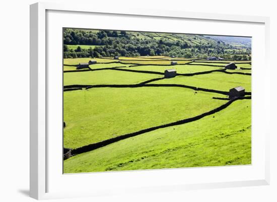 Barn and Dry Stone Walls in Meadows at Gunnerside-Mark Sunderland-Framed Photographic Print