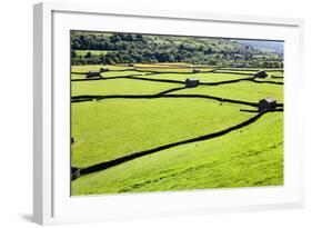 Barn and Dry Stone Walls in Meadows at Gunnerside-Mark Sunderland-Framed Photographic Print