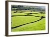 Barn and Dry Stone Walls in Meadows at Gunnerside-Mark Sunderland-Framed Photographic Print