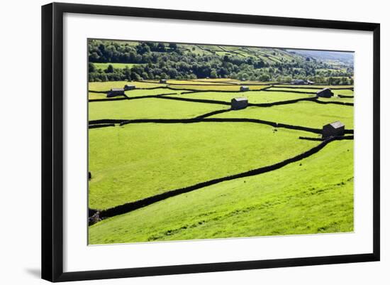 Barn and Dry Stone Walls in Meadows at Gunnerside-Mark Sunderland-Framed Photographic Print