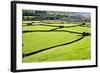 Barn and Dry Stone Walls in Meadows at Gunnerside-Mark Sunderland-Framed Photographic Print