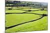 Barn and Dry Stone Walls in Meadows at Gunnerside-Mark Sunderland-Mounted Photographic Print