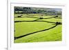 Barn and Dry Stone Walls in Meadows at Gunnerside-Mark Sunderland-Framed Photographic Print