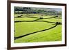 Barn and Dry Stone Walls in Meadows at Gunnerside-Mark Sunderland-Framed Photographic Print