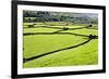 Barn and Dry Stone Walls in Meadows at Gunnerside-Mark Sunderland-Framed Photographic Print