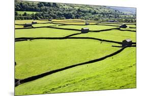 Barn and Dry Stone Walls in Meadows at Gunnerside-Mark Sunderland-Mounted Photographic Print