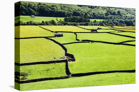 Barn and Dry Stone Walls in Meadows at Gunnerside-Mark Sunderland-Stretched Canvas