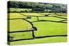 Barn and Dry Stone Walls in Meadows at Gunnerside-Mark Sunderland-Stretched Canvas