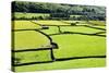 Barn and Dry Stone Walls in Meadows at Gunnerside-Mark Sunderland-Stretched Canvas