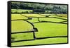 Barn and Dry Stone Walls in Meadows at Gunnerside-Mark Sunderland-Framed Stretched Canvas