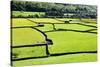 Barn and Dry Stone Walls in Meadows at Gunnerside-Mark Sunderland-Stretched Canvas