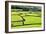 Barn and Dry Stone Walls in Meadows at Gunnerside-Mark Sunderland-Framed Photographic Print