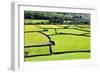 Barn and Dry Stone Walls in Meadows at Gunnerside-Mark Sunderland-Framed Photographic Print