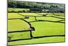 Barn and Dry Stone Walls in Meadows at Gunnerside-Mark Sunderland-Mounted Photographic Print