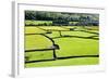 Barn and Dry Stone Walls in Meadows at Gunnerside-Mark Sunderland-Framed Photographic Print