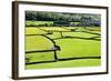 Barn and Dry Stone Walls in Meadows at Gunnerside-Mark Sunderland-Framed Photographic Print