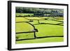 Barn and Dry Stone Walls in Meadows at Gunnerside-Mark Sunderland-Framed Photographic Print