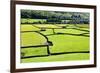 Barn and Dry Stone Walls in Meadows at Gunnerside-Mark Sunderland-Framed Photographic Print